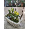 Kép 2/3 - Tulipán kosárban vagy üvegben