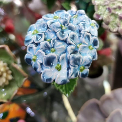 Kerámiavirág hortenzia