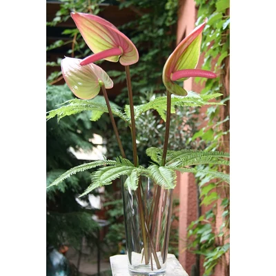 Elegáns tartós csokor üvegvázával